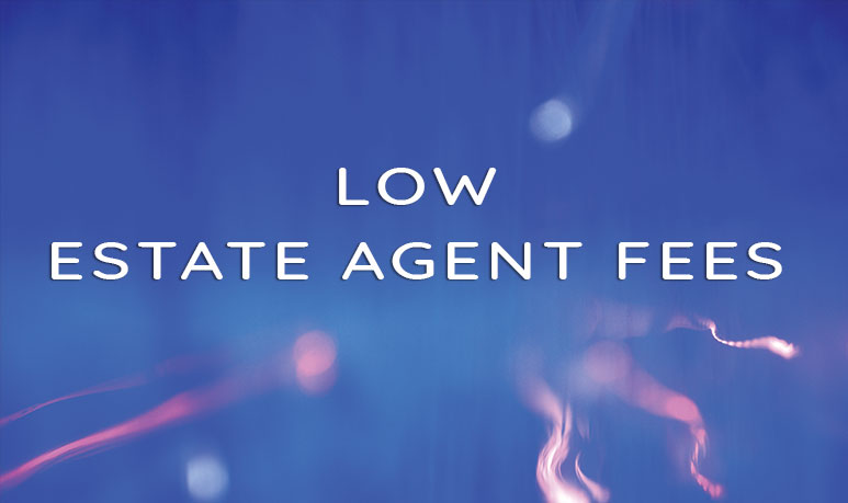 Low Estate Agent Fees