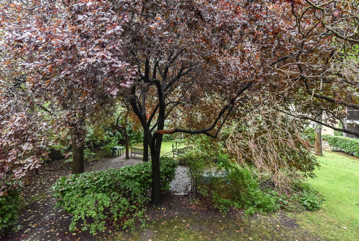 1 Bedroom Flat For Rent Islington London