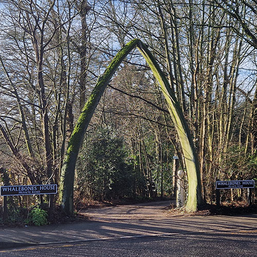 Estate Agent Arkley Area Guide